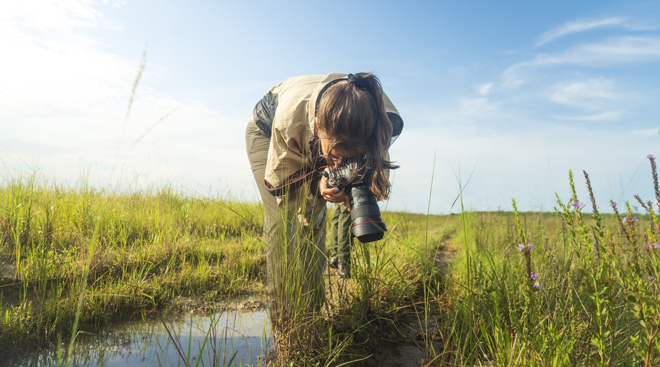 An intern stands on grass and in some water and points the camera to the ground.