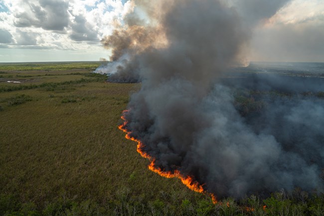 A hot fire burns in a sawgrass prairie with a thick cloud of black smoke rising up in the air