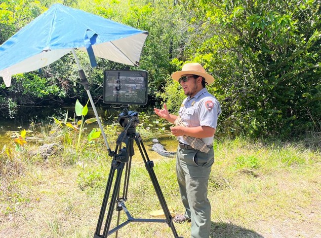 A ranger standing beside vegetation, water, and an alligator, speaking to a camera on a tripod