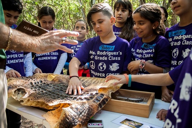 students stand around table and touch alligator skin