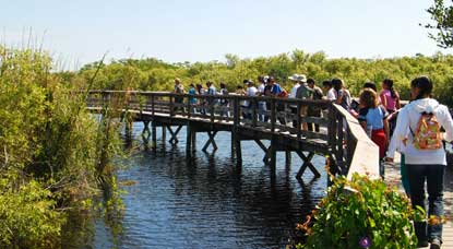 Anhinga trail over bridge
