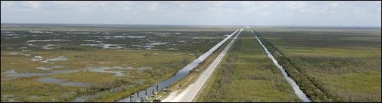 Aerial View of the Tamiami Trail