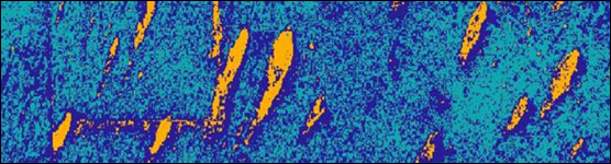 Vegetative Classification of Northeast Shark River Slough