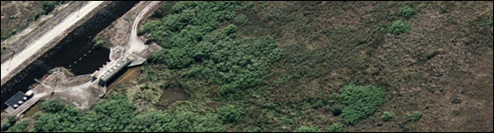 S332 and Taylor Slough