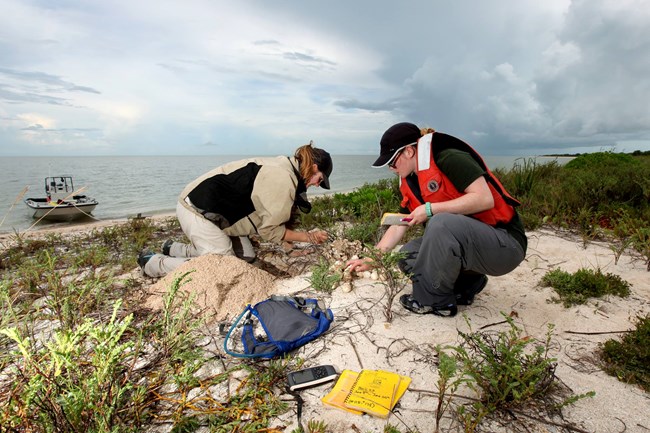 Two female employees are on a beach counting sea turtle eggs. There are notebooks, a GPS unit, and a small backpack on the ground beside them.