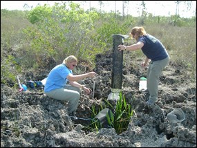 Biologists sampling for biota in a solution hole