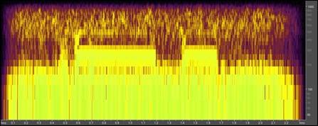 Spectrogram of Gulf toadfish