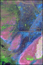 Everglades Satellite Image