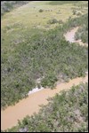 Aerial view of a canal on Cape Sable