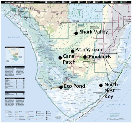 Acoustic monitoring sites in Everglades National Park.