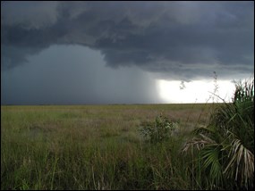 Summer thunderstorm over the Everglades