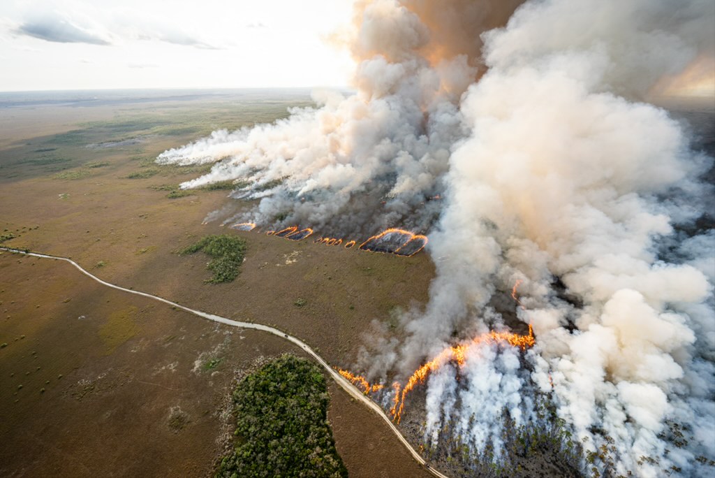 An aerial view of a prescribed fire