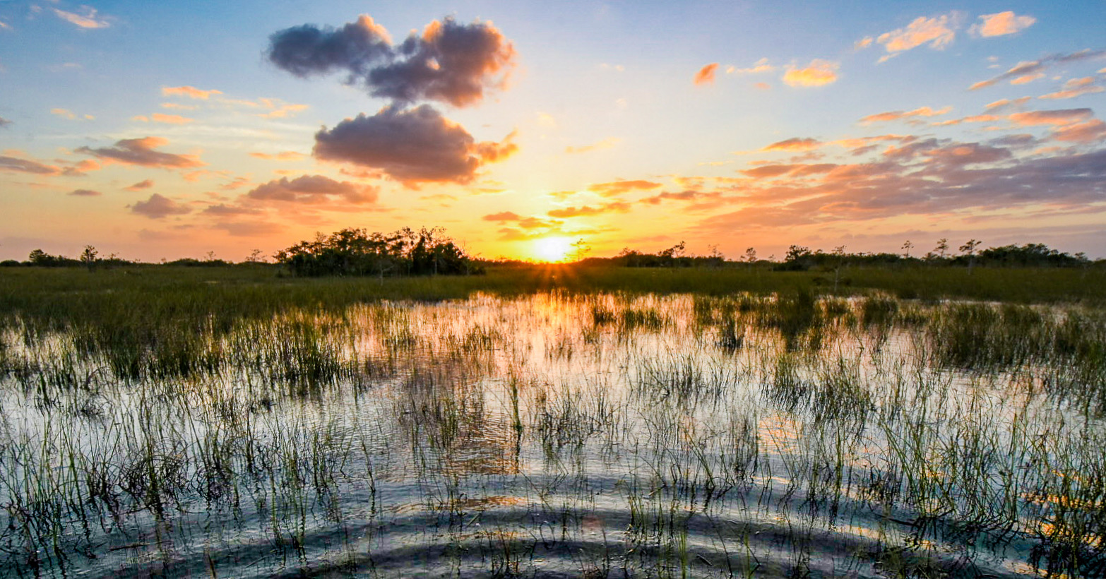 Water ripple reflected in sunlight