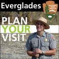 Plan your visit icon
