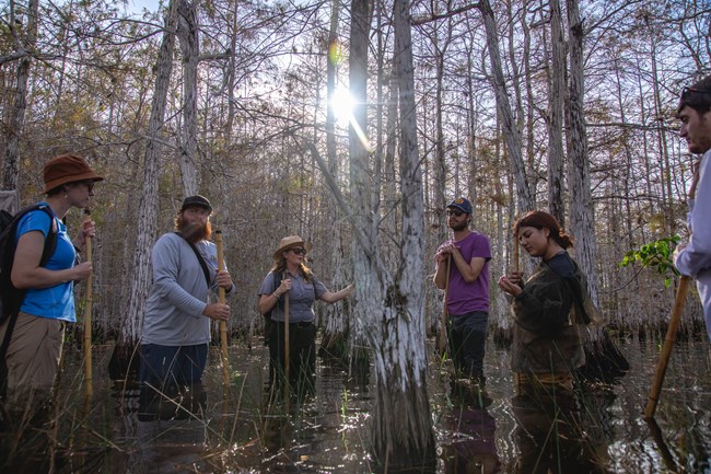 Join park staff on a wet walk!