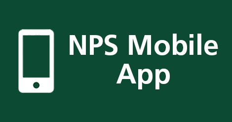 Artboard NPS MOBILE APP