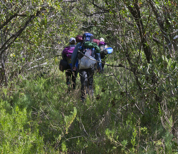 Coastal Prairie Hiking Trail