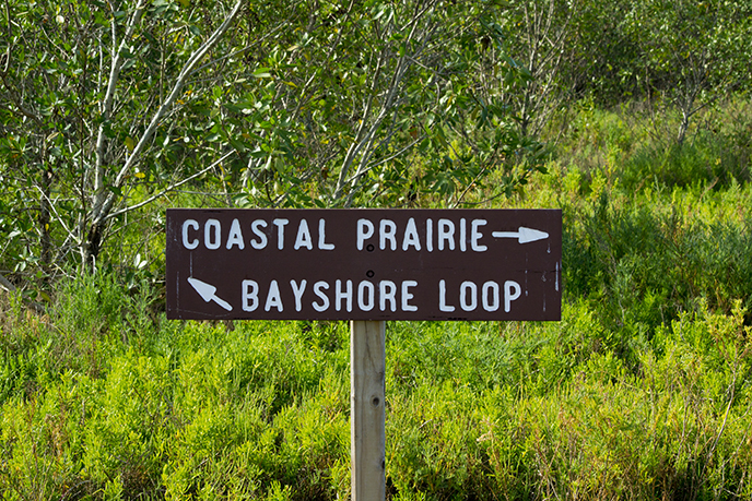 Coastal Prairie Hiking Trail Bayshore Loop