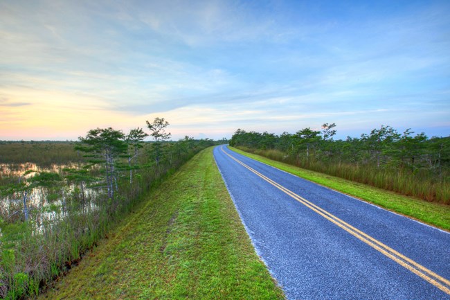 Road in the Everglades