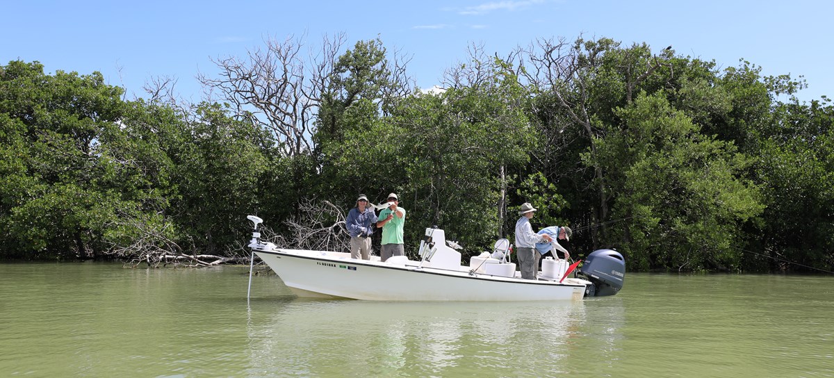 A group of anglers fish from a white boat on murky green water with a mangrove tree-lined shore behind them.