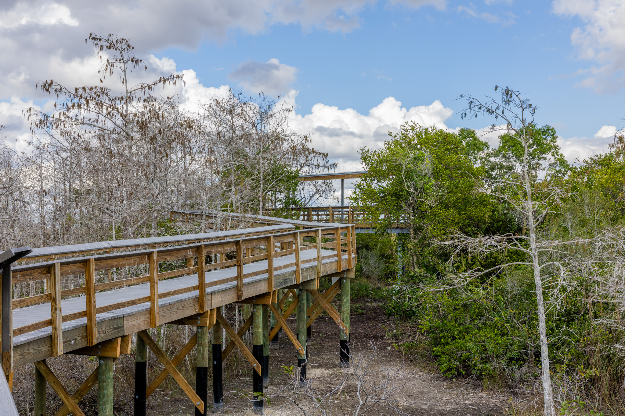 PAHAYOKEE BOARDWALK_NEW -1 (1)