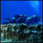 Divers at Biscayne National Park