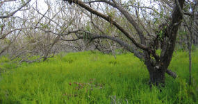 Christian Point Trail