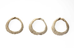 Three shells carved into hoops.