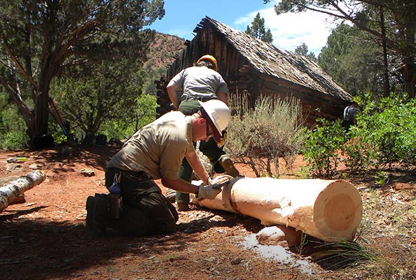 two men working on a log cabin
