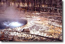 Cistern Spring perculates in its pool.