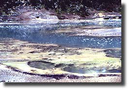 Crackling lake sputters with thermal activity  from springs on its southern shore.