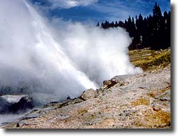 Ledge Geyser erupts forcefully at angle, sending water up to 220 feet away.