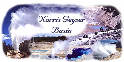 An image depicting thermal features in Norris Geyser Basin (contains five links).