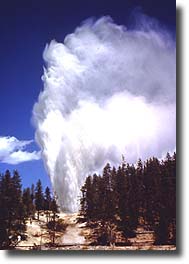 Steamboat Geyser Erupting