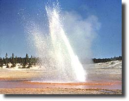 The waters of Whirligig Geysers swirl in their craters.