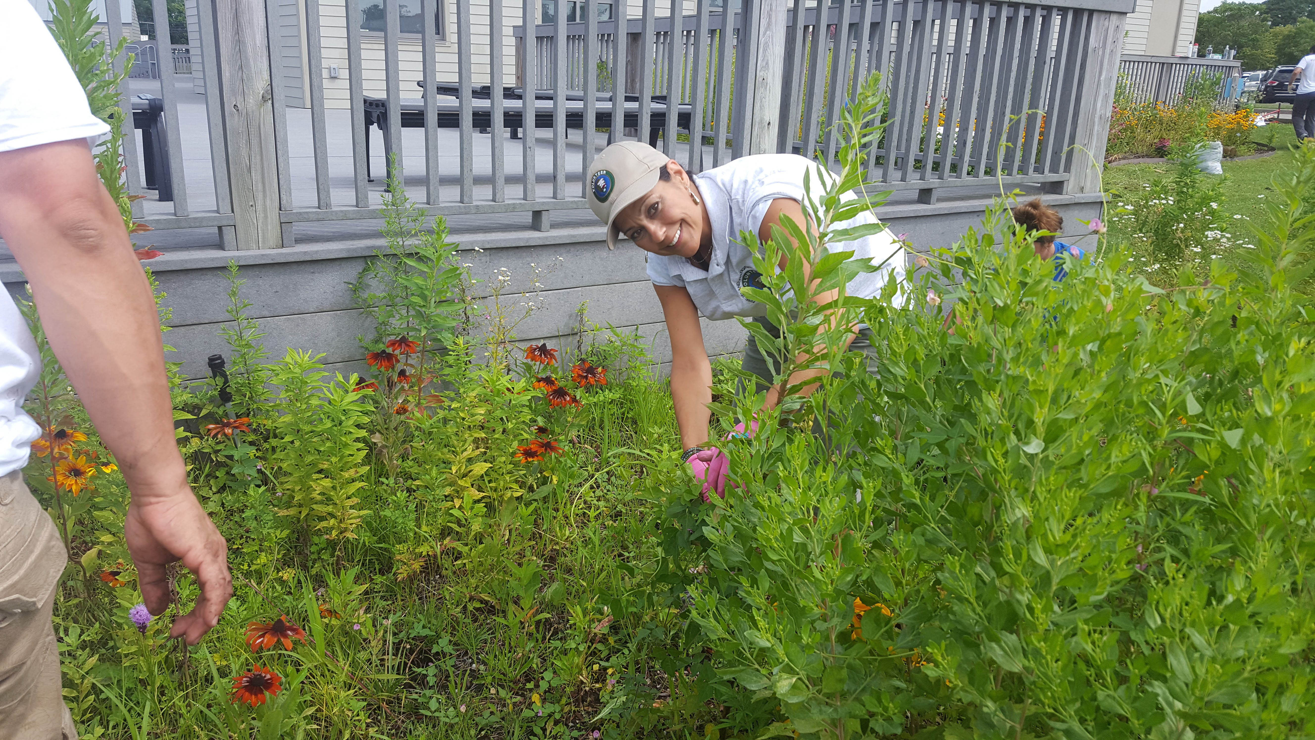A woman digs in the native plant pollinator garden.