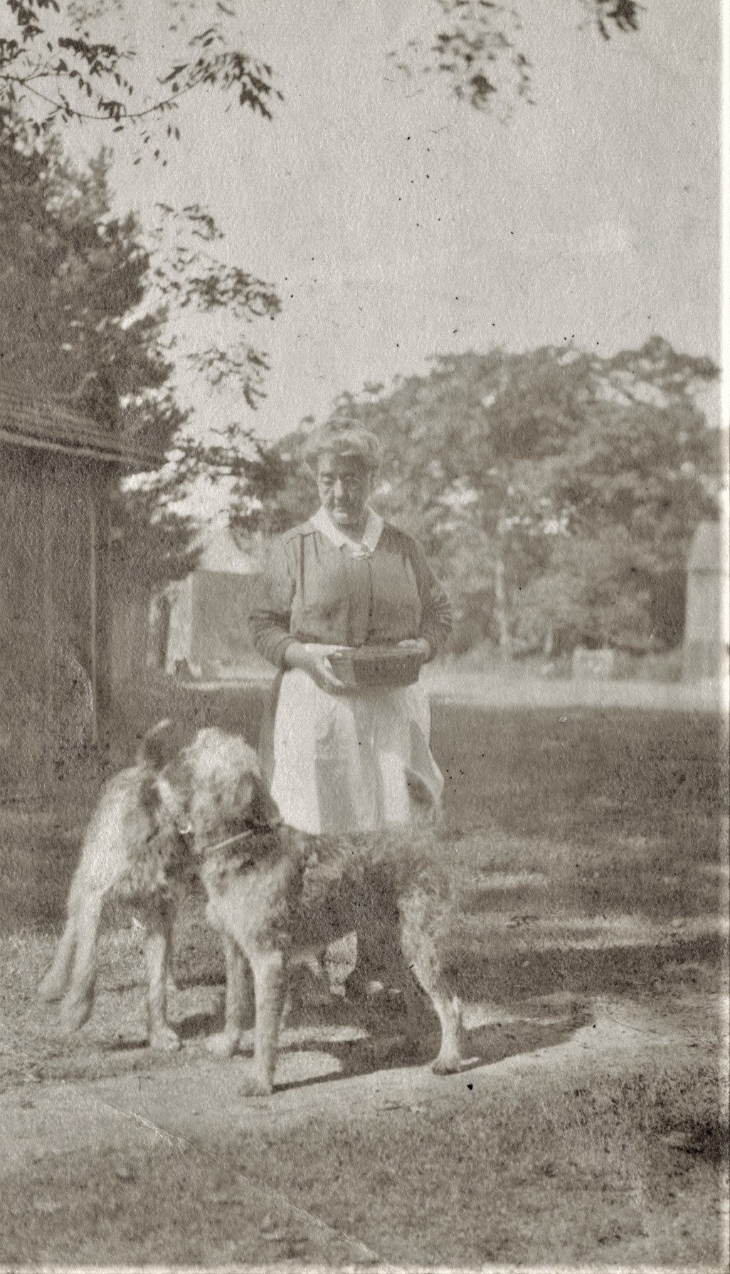 An older woman stands in a yard with two dogs
