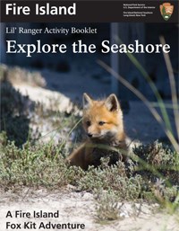 Lil' Rangers Explore the Seashore Activity Booklet