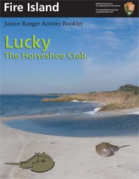 Lucky the Horseshoe Crab Junior Ranger Activity Booklet