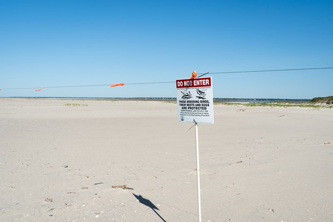 A sign attached to a string fence on a beach reads "Do Not Enter. These breeding birds, their nests and eggs are protected under federal law."
