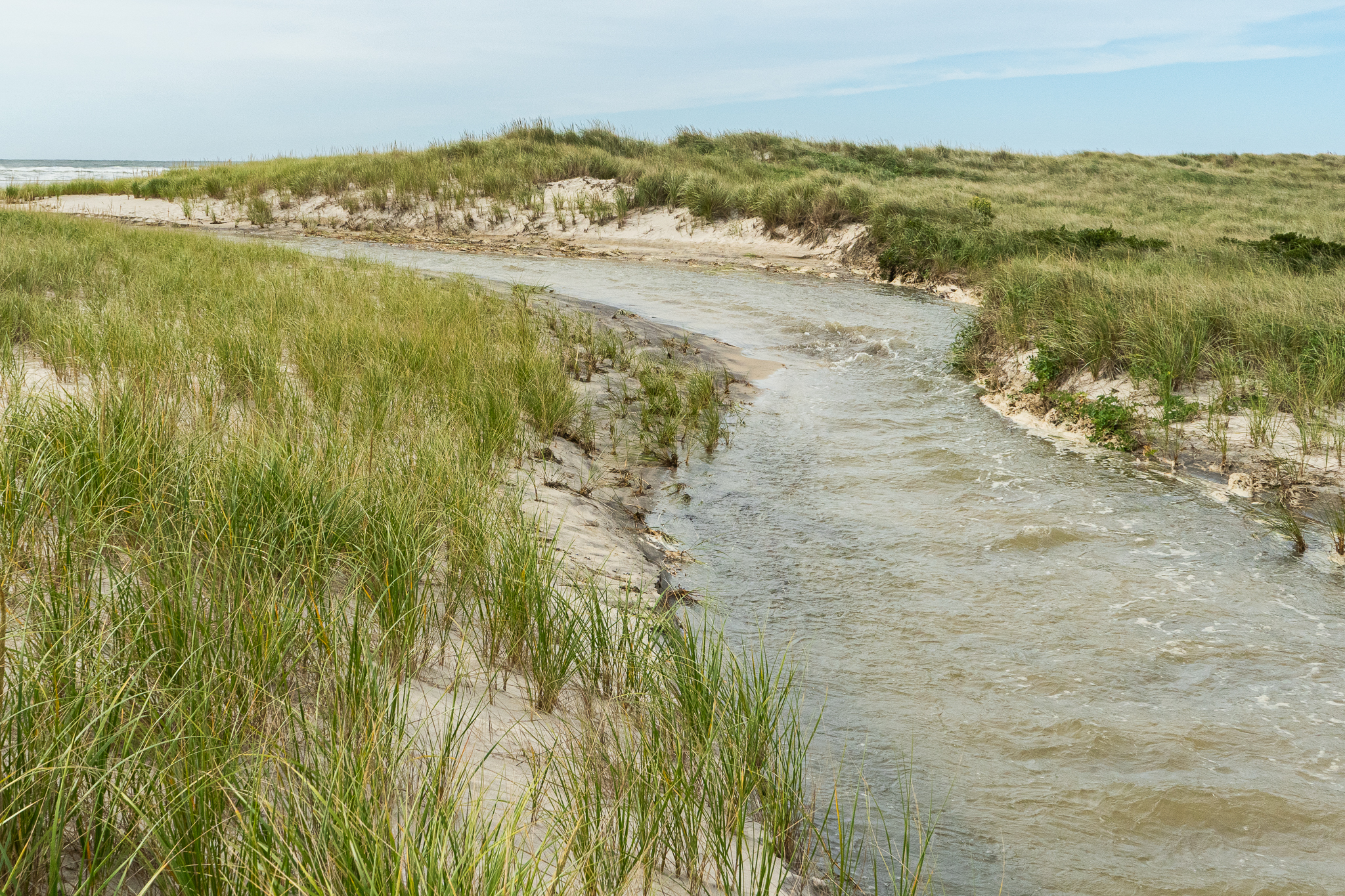 Water moves through a shallow channel  carved through the dune and swale.