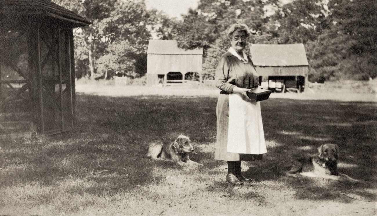 An older woman in an apron stands in a yard with several dogs.