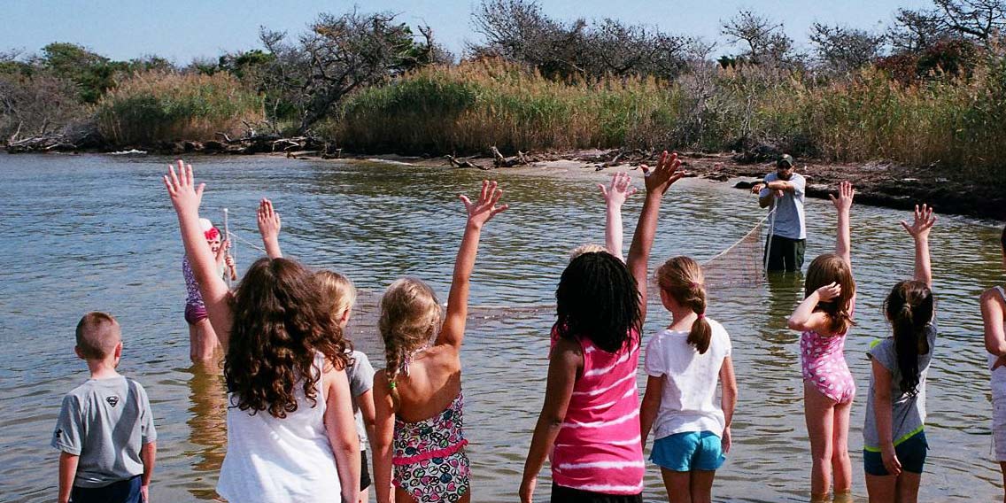 Children participate in a ranger-led seining program.