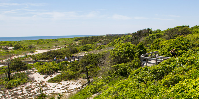 A view of the barrier beach from atop the secondary dune in the Sunken Forest at Sailors Haven.