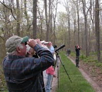 Birdwatching at William Floyd Estate.