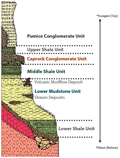 A diagram showing the rock layers that make up the Florissant Formation in relation to each other.