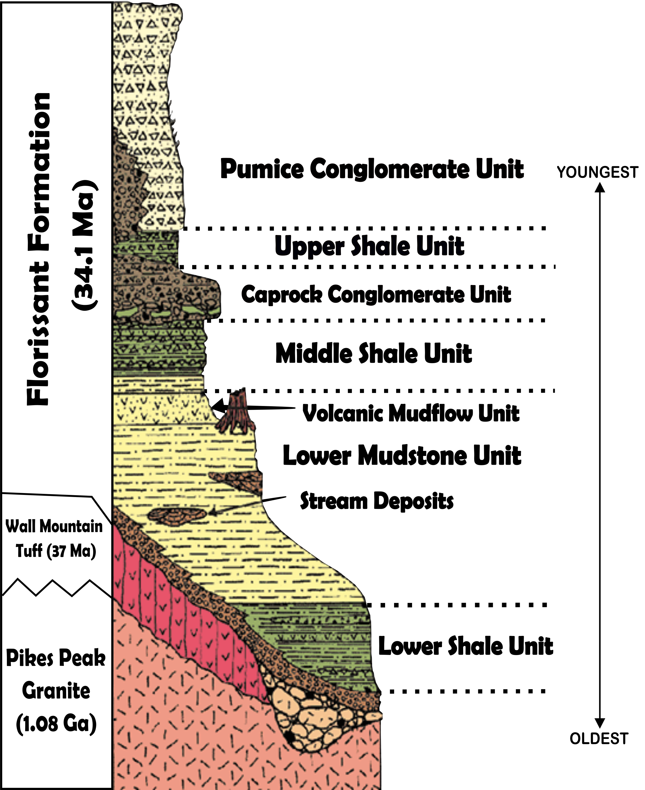 Diagram showing the rock layers seen at Florissant Fossil Beds.