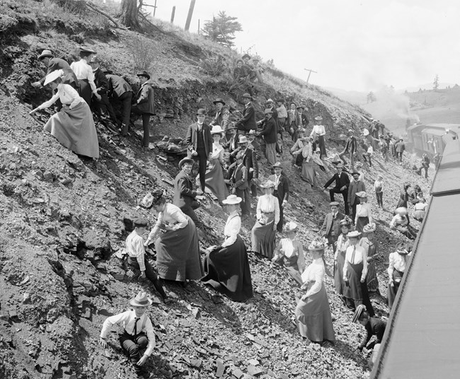 People from Wildflower trains collecting flowers