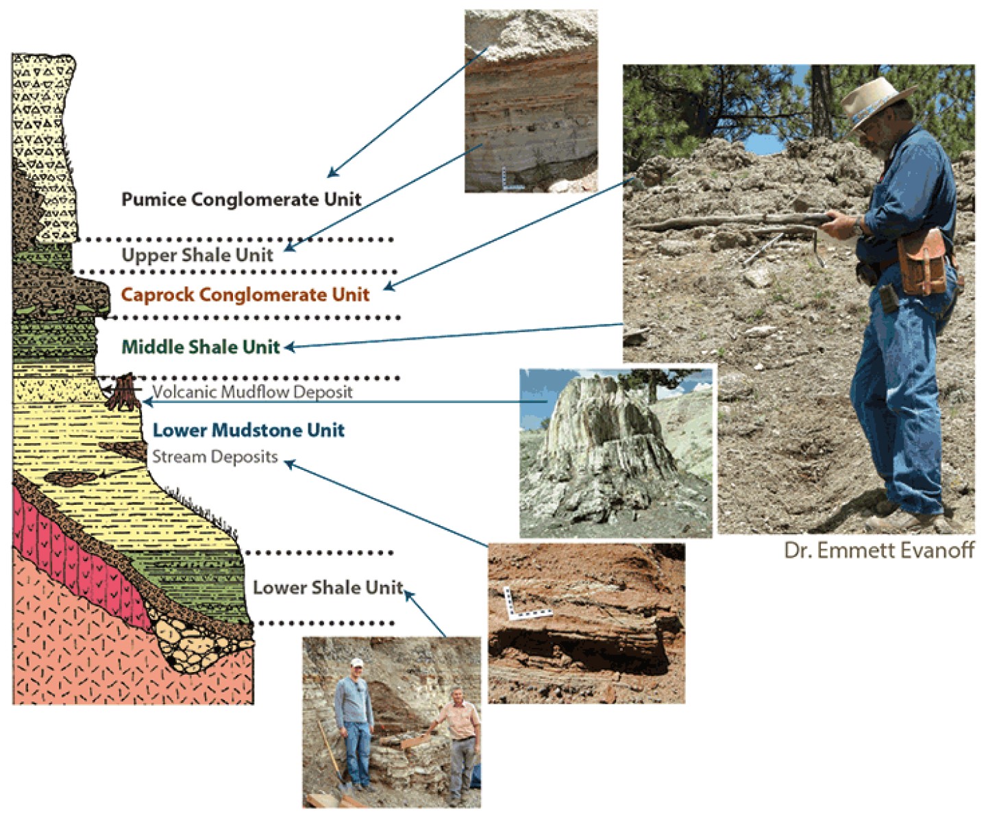 The Florissant Fossil beds Stratigraphic column, with examples of each type of rock listed and Dr. Emmett Evanoff