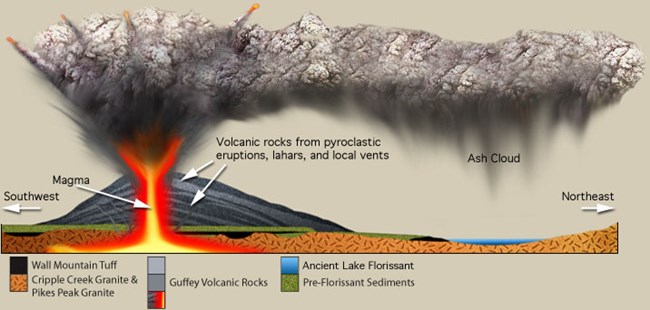 Cross-section view of a large volcano erupting a dark cloud of volcanic ash and red magma rising to the volcano vent. The rocks of Florissant are shown as well such as the pink granite, volcanic and lake deposits.
